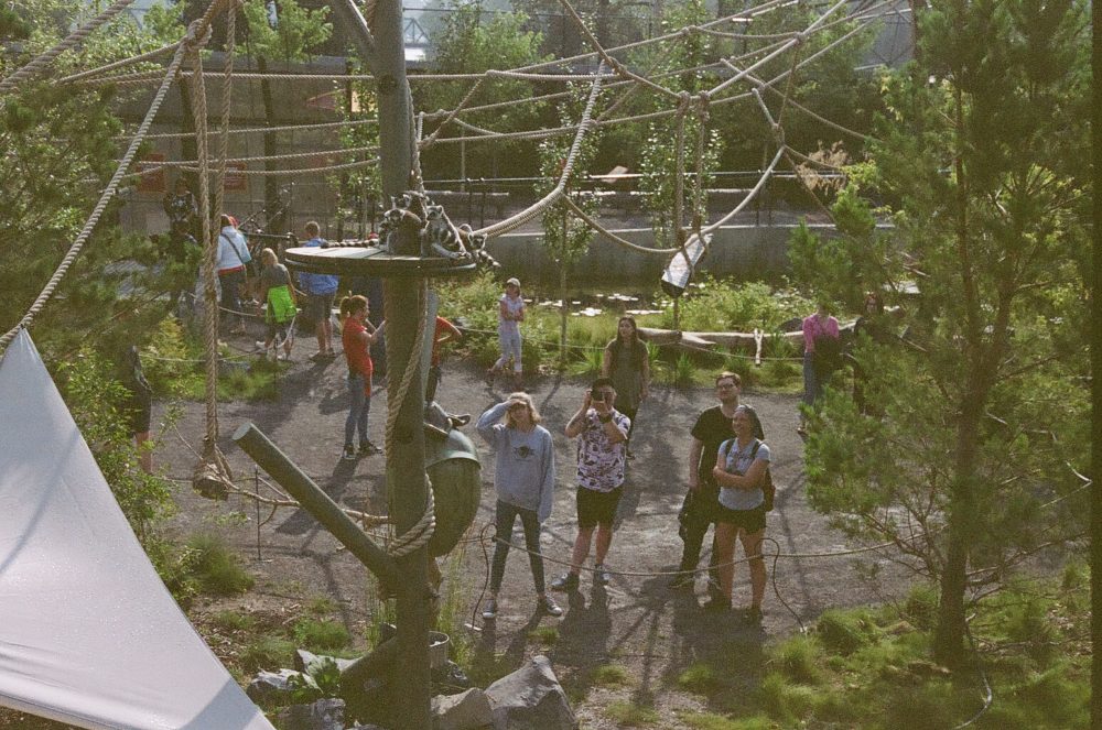 lemurs draw a crowd at the Calgary Zoo