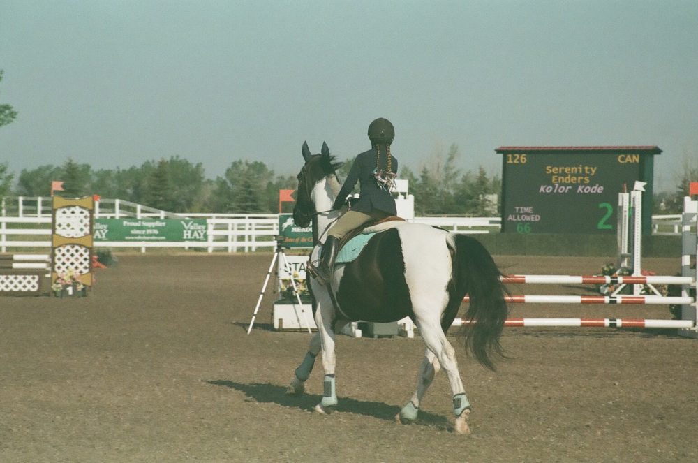 a horse named Kolor Kode is show jumping