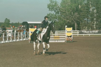 a horse named Kolor Kode is show jumping