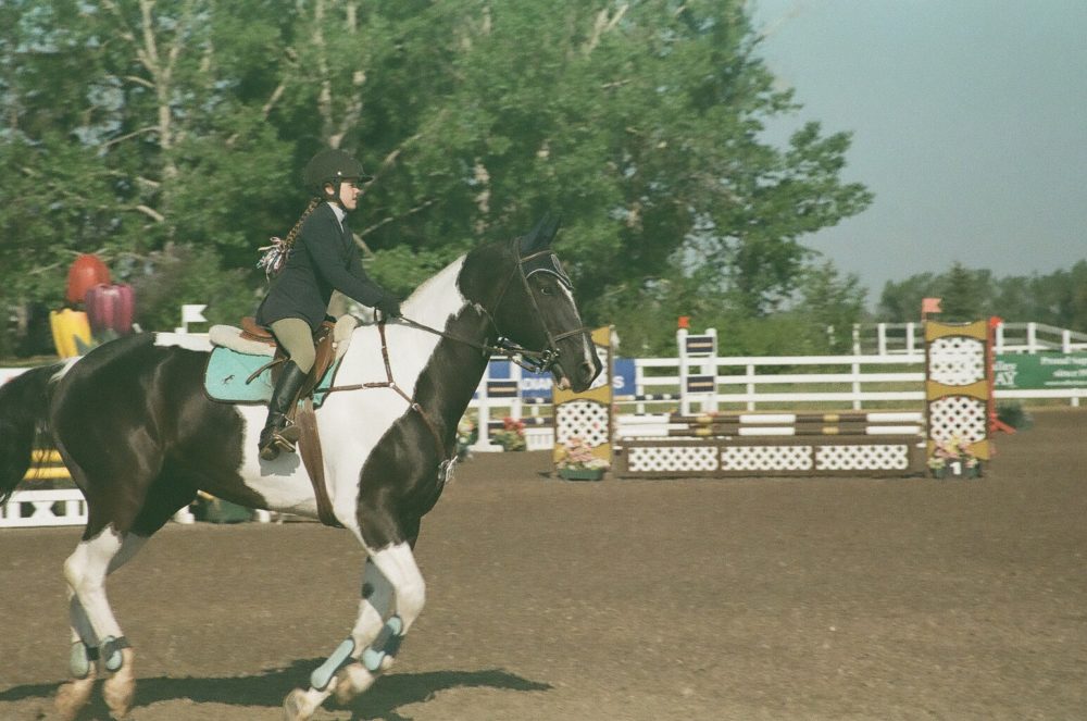 a horse named Kolor Kode is show jumping