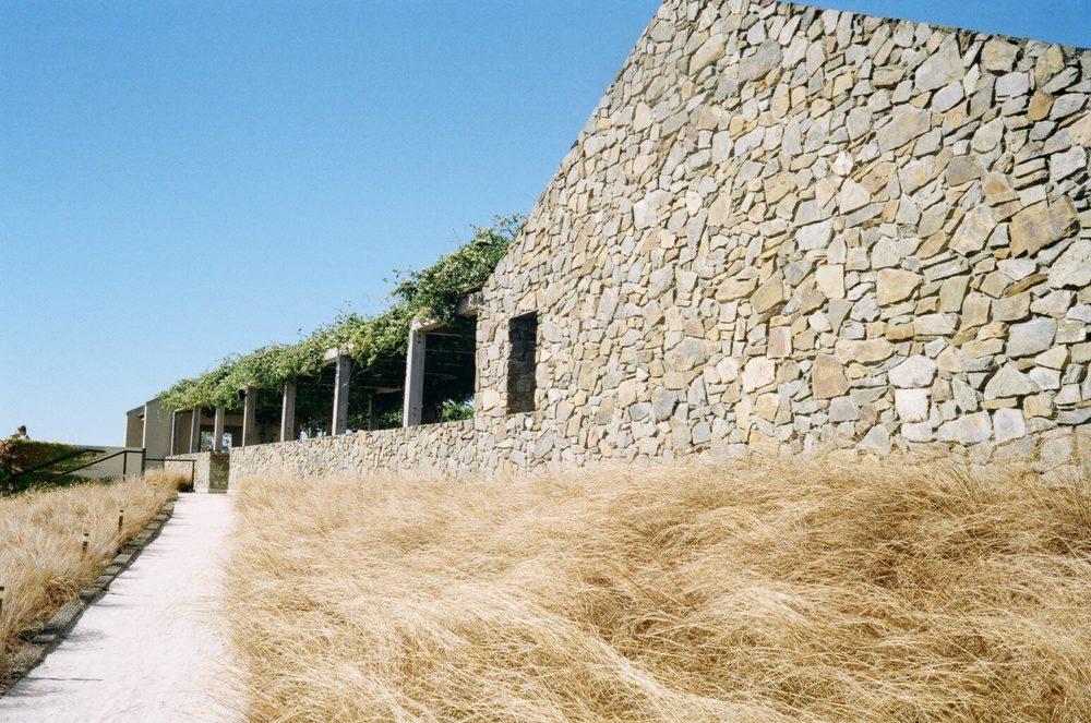 Wither Hills winery