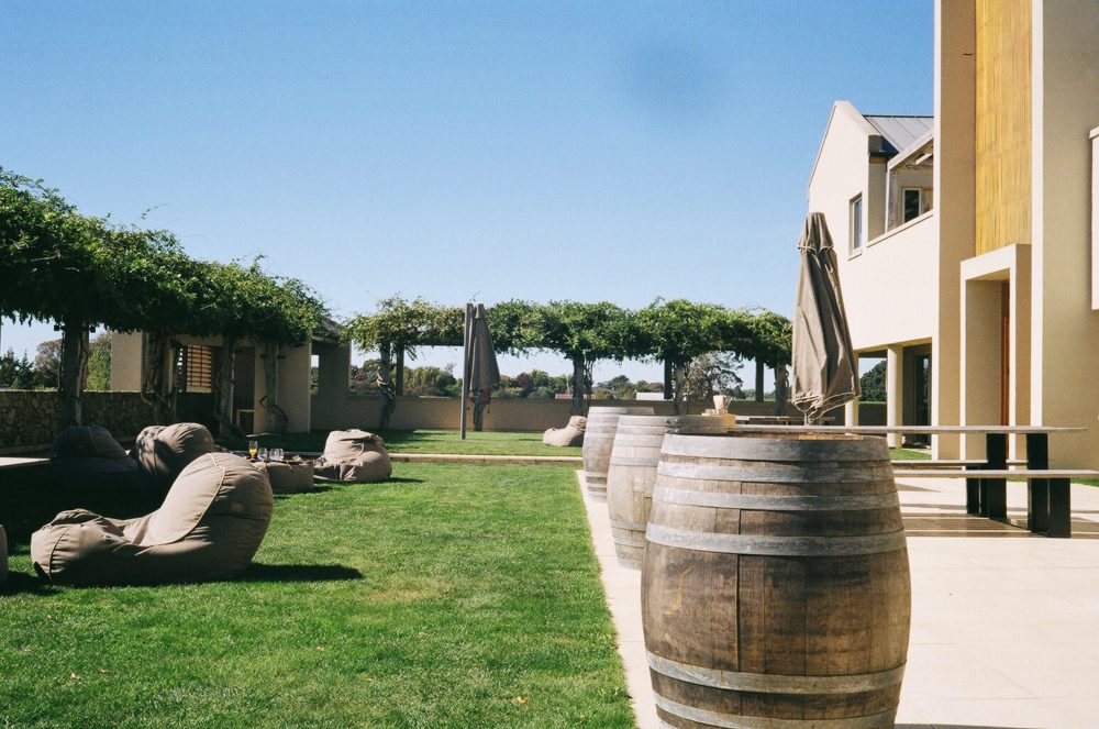 Wither Hills winery