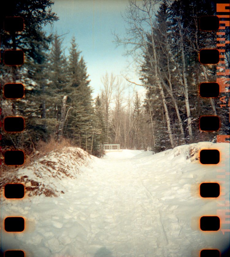 snow-covered trail in Fish Creek Park