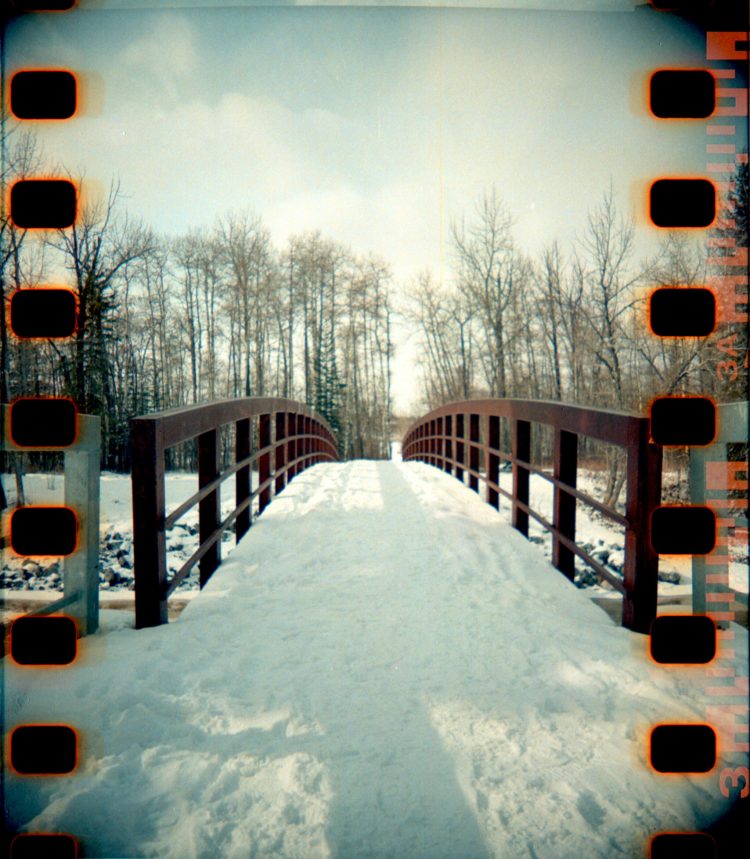 a bridge in Fish Creek Park