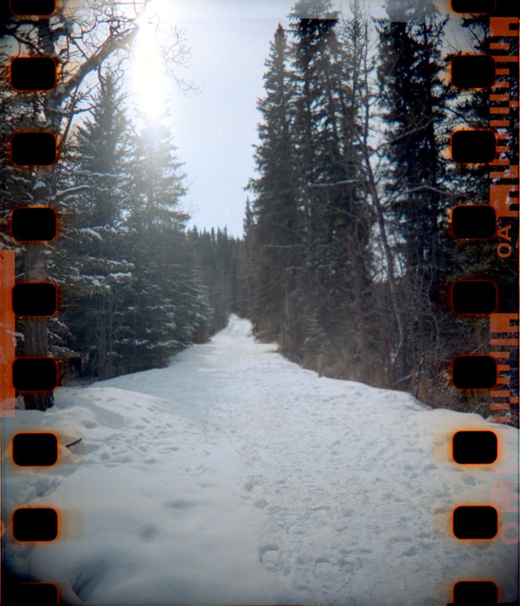 snow-covered trail in Fish Creek Park