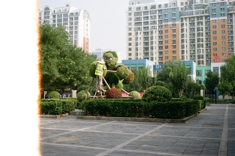 Beijing topiary