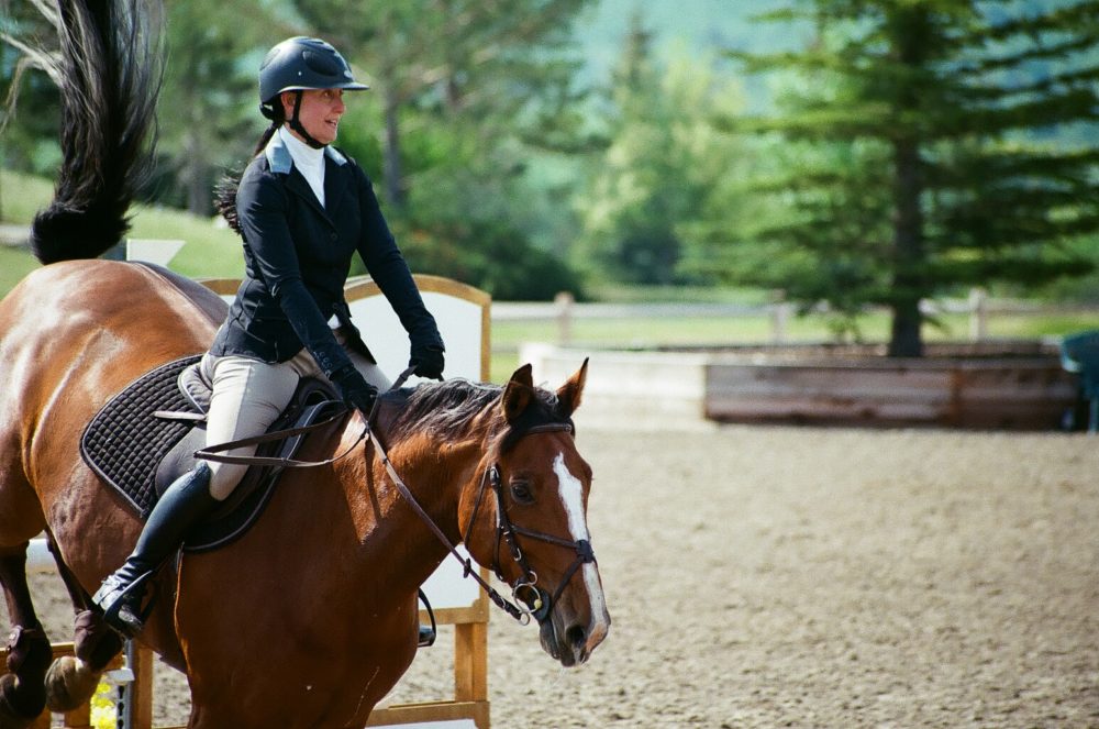 show jumping at Spruce Meadows, Calgary, AB