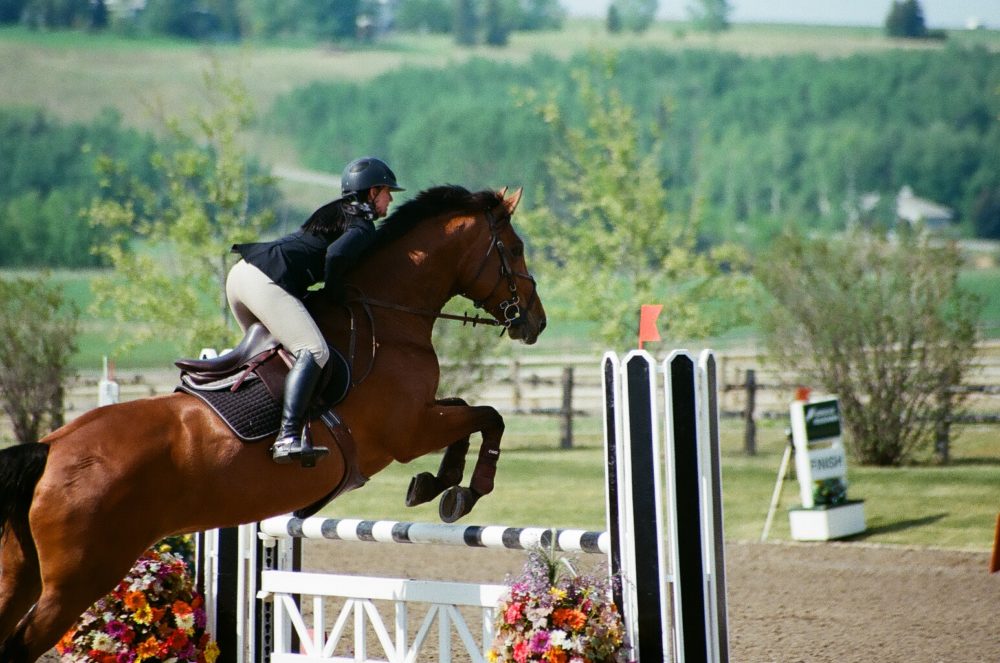 show jumping at Spruce Meadows, Calgary, AB