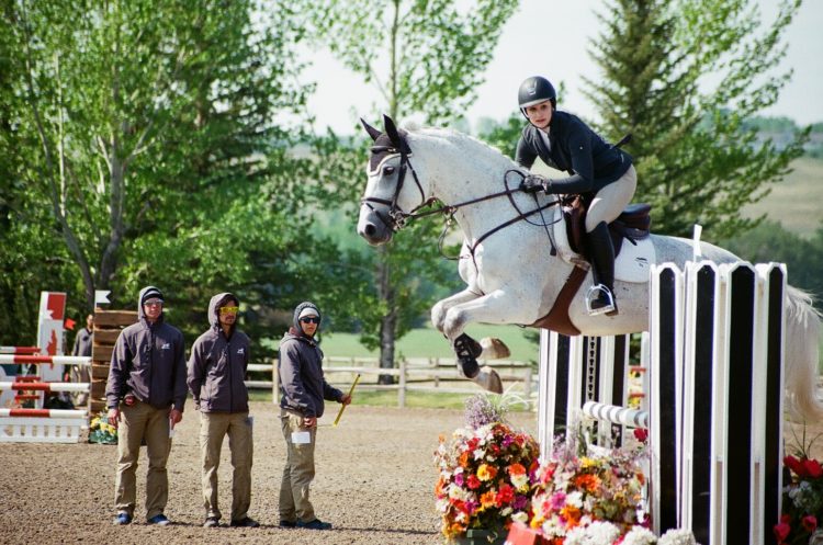 show jumping at Spruce Meadows, Calgary, AB