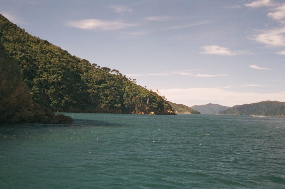 Queen Charlotte Sound, New Zealand