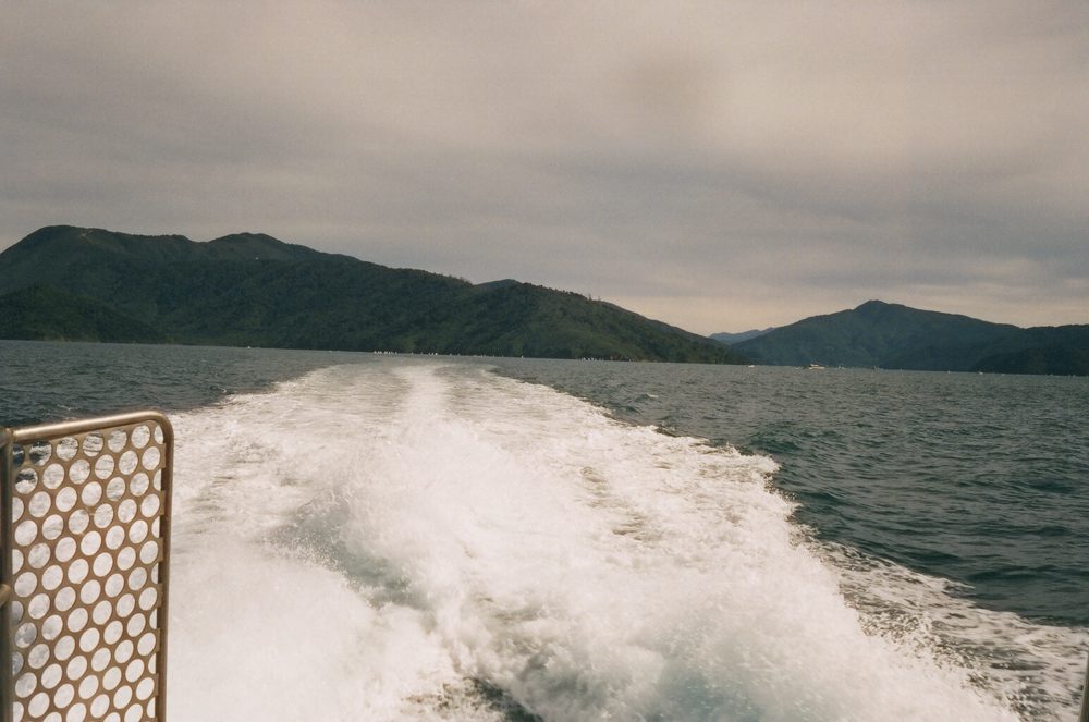 Queen Charlotte Sound, New Zealand by boat