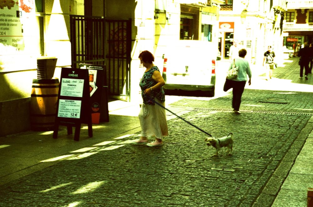 woman and dog in San Sebastián, Spain