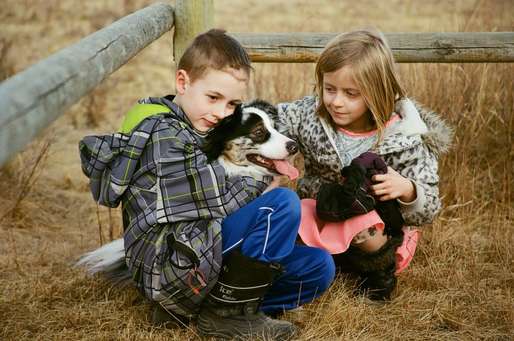 dog & children at Glenbow Ranch Provincial Park