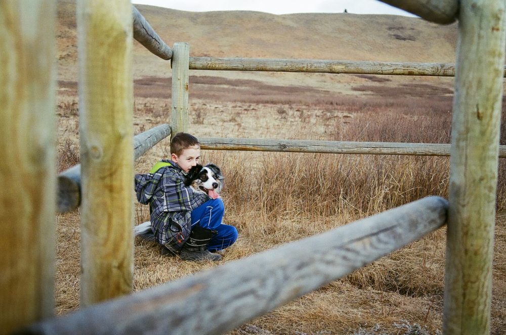 dog & boy at Glenbow Ranch Provincial Park