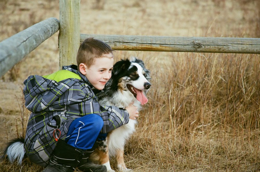 dog & boy at Glenbow Ranch Provincial Park