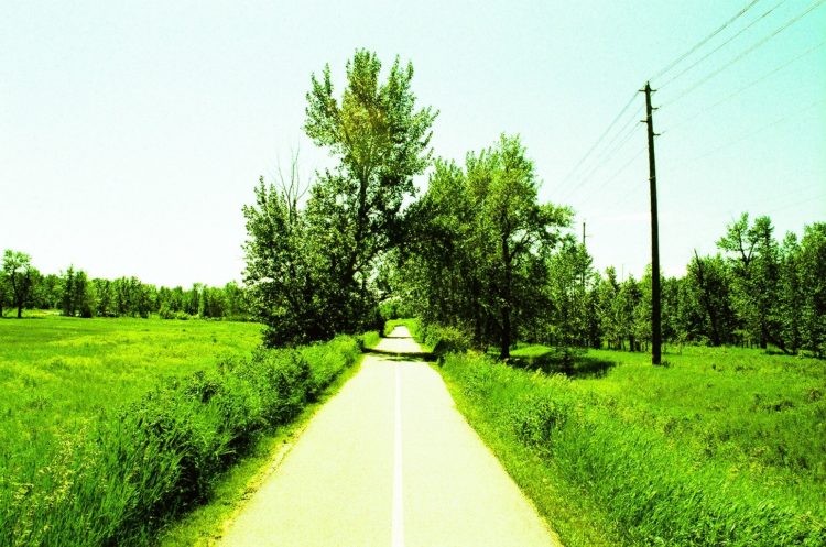 a bike path in Fish Creek Park