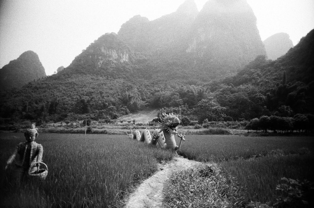 Yangshuo countryside wicker dragon on Double-X 5222 film
