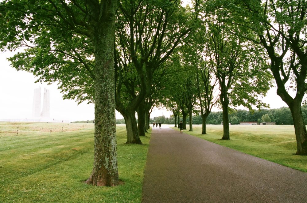 The walk to the Vimy Memorial.