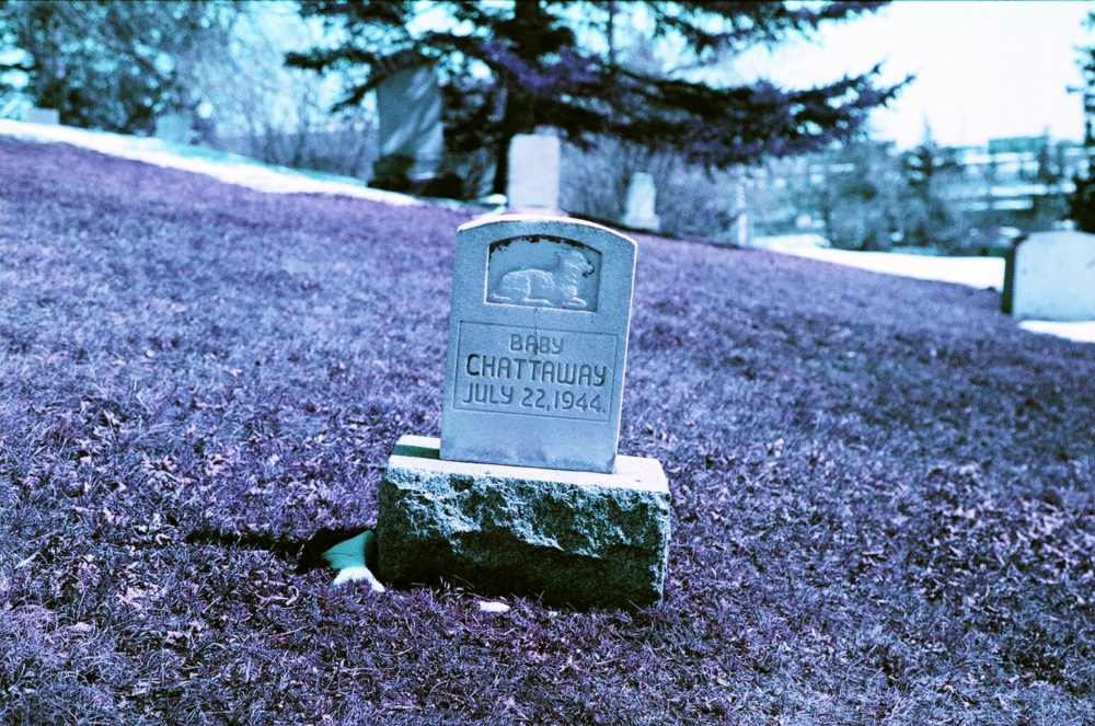 Calgary's Union Cemetery