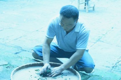 bruising tea leaves in Emeishan, China