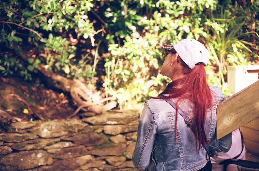 bird watching on Motuara Island, NZ