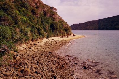 Motuara Island, NZ