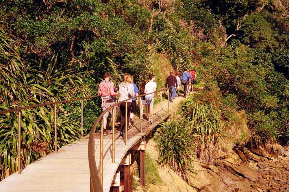 hiking up Motuara Island, NZ
