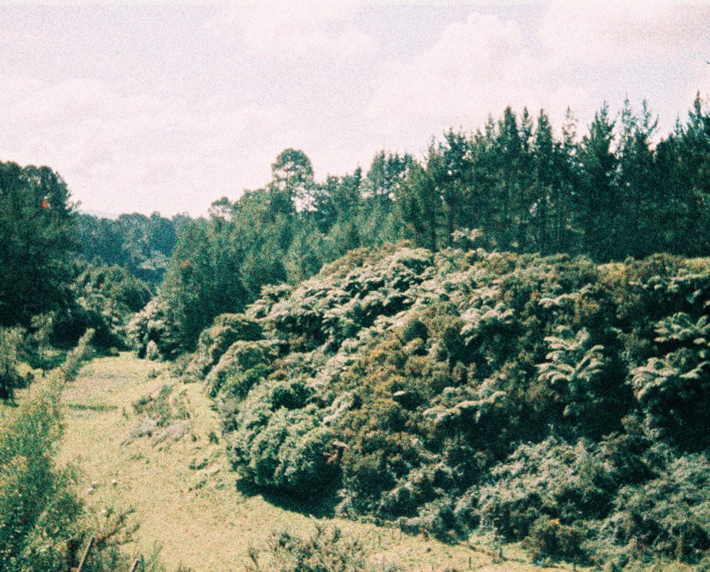 a farm in Tauranga, New Zealand
