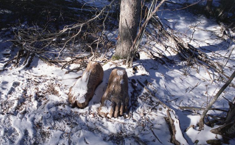 carved feet in the forest