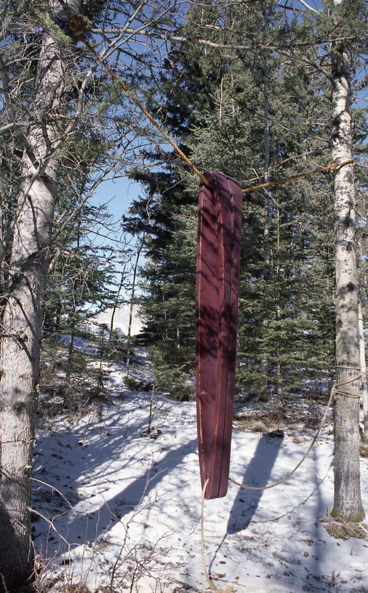 weird things in the woods