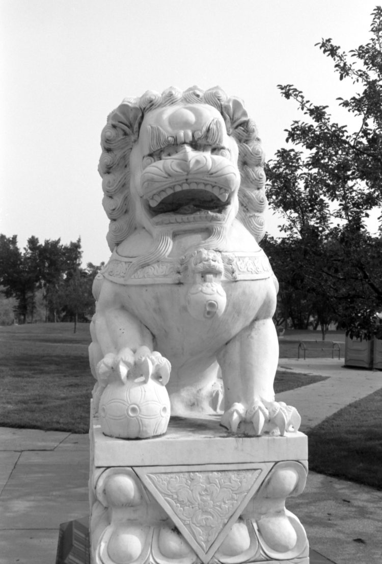 lion statue at Sien Lok Park, downtown Calgary, Canada