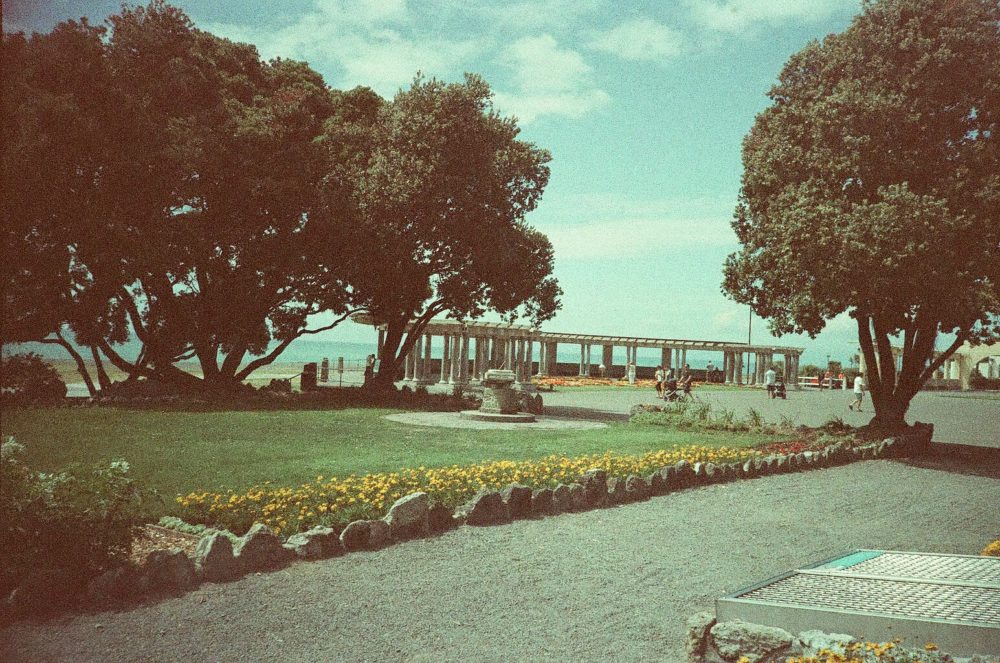 Veronica Sunday, Napier, New Zealand
