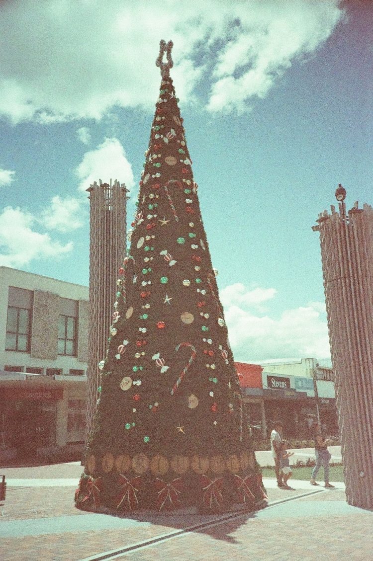 Rotorua Christmas Tree