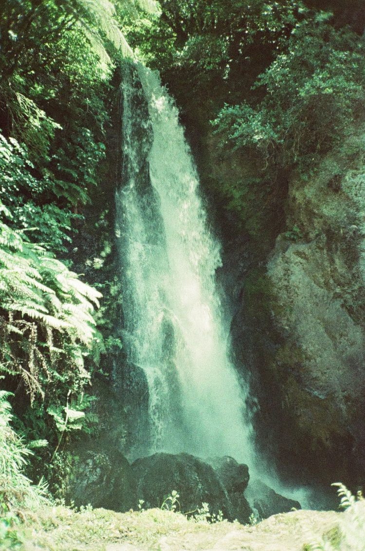 Te Wairoa, the Buried Village, New Zealand