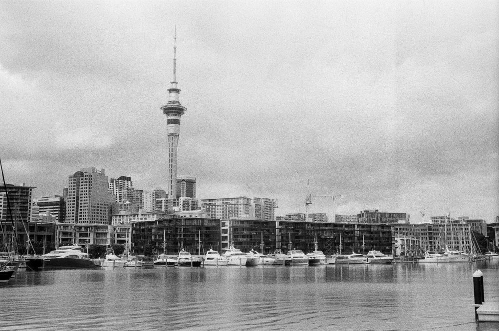 Auckland harbour & the Sky Tower