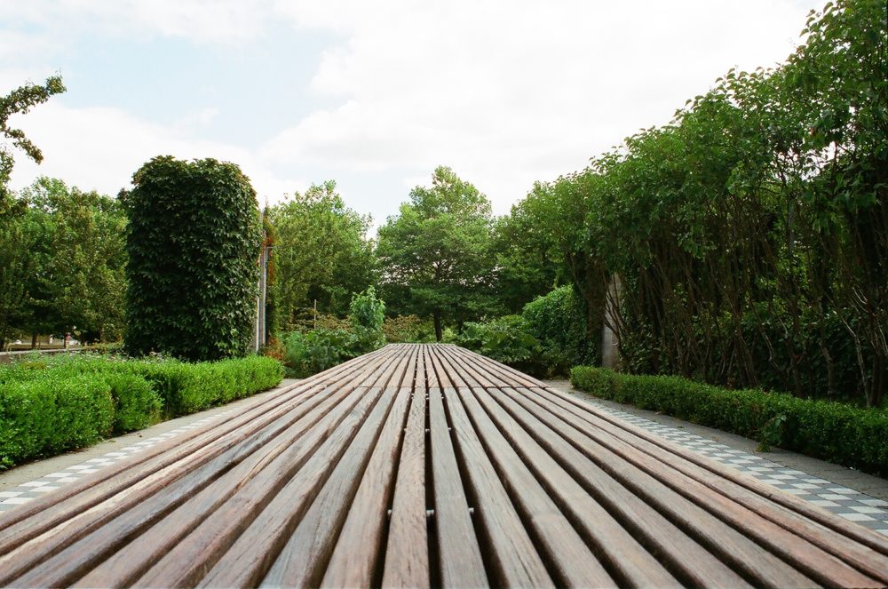 bench at Hastings Park, Vancouver, BC