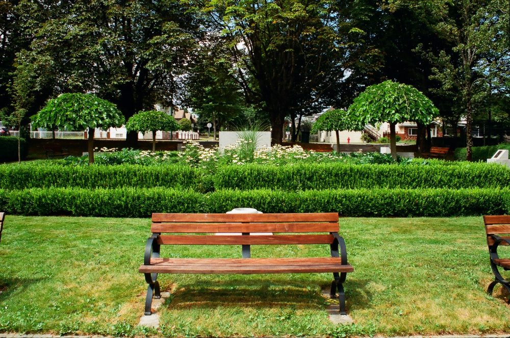 bench at Hastings Park, Vancouver, BC