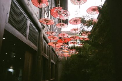 umbrellas at Chengdu People's Park