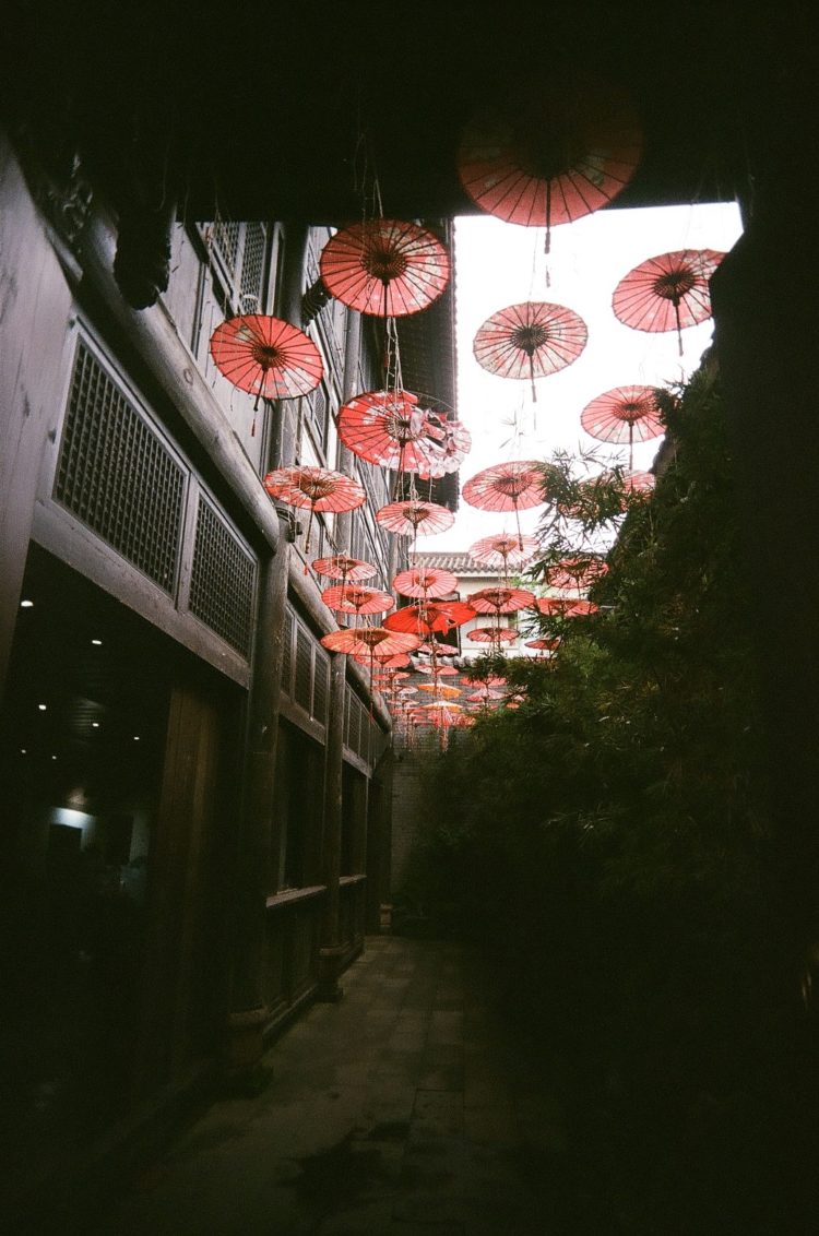 umbrellas at Chengdu People's Park