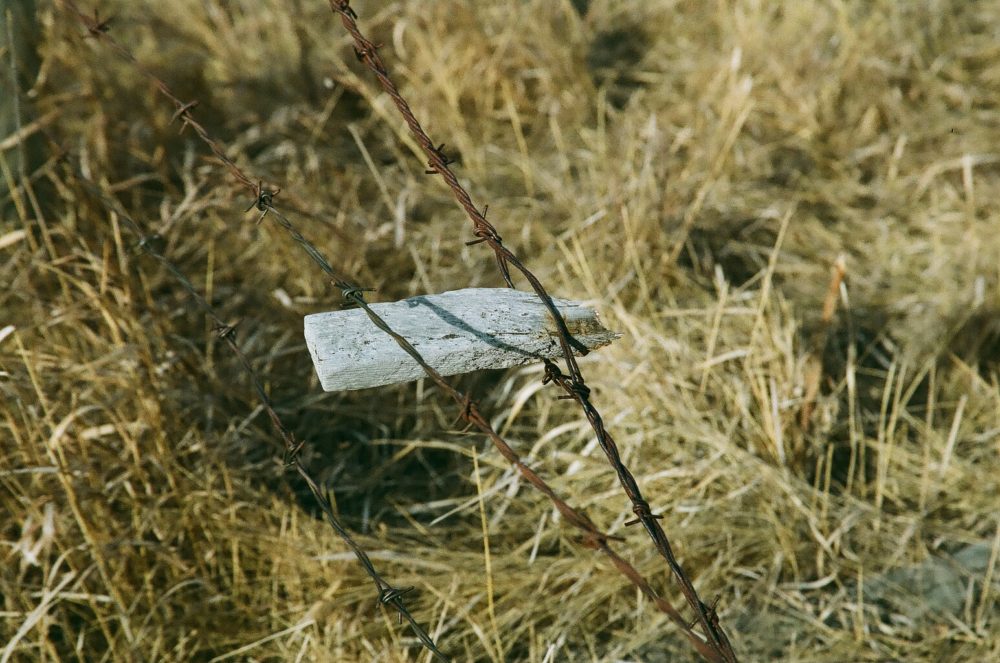 barbed wire