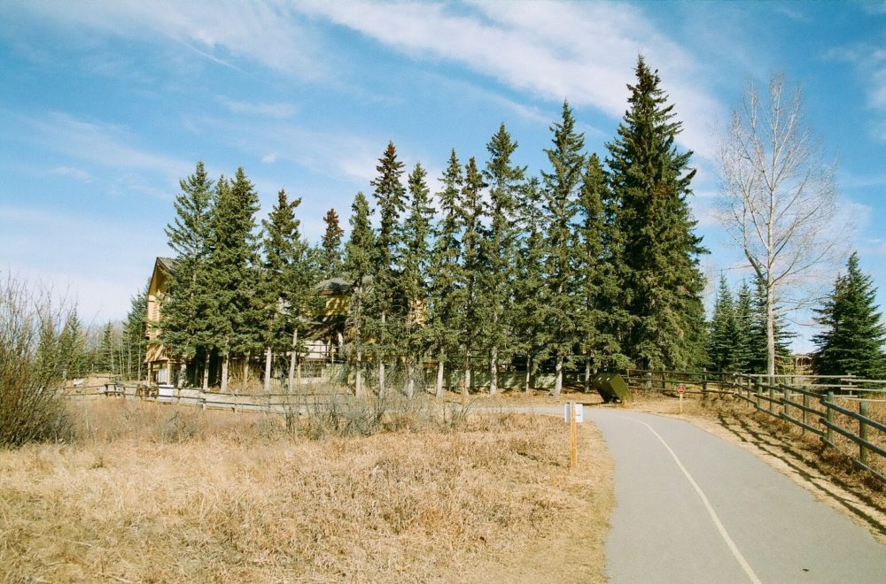 Glenbow Ranch Provincial Park trees