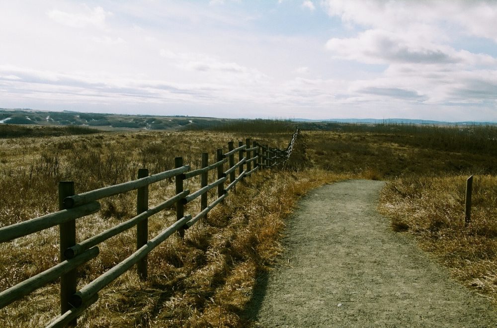 Glenbow Ranch Provincial Park trail