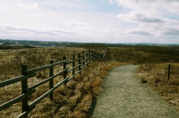 Glenbow Ranch Provincial Park trail