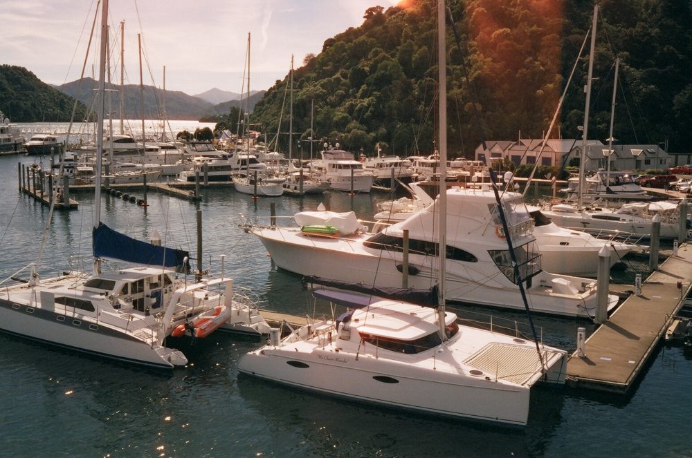 yachts in Picton harbour