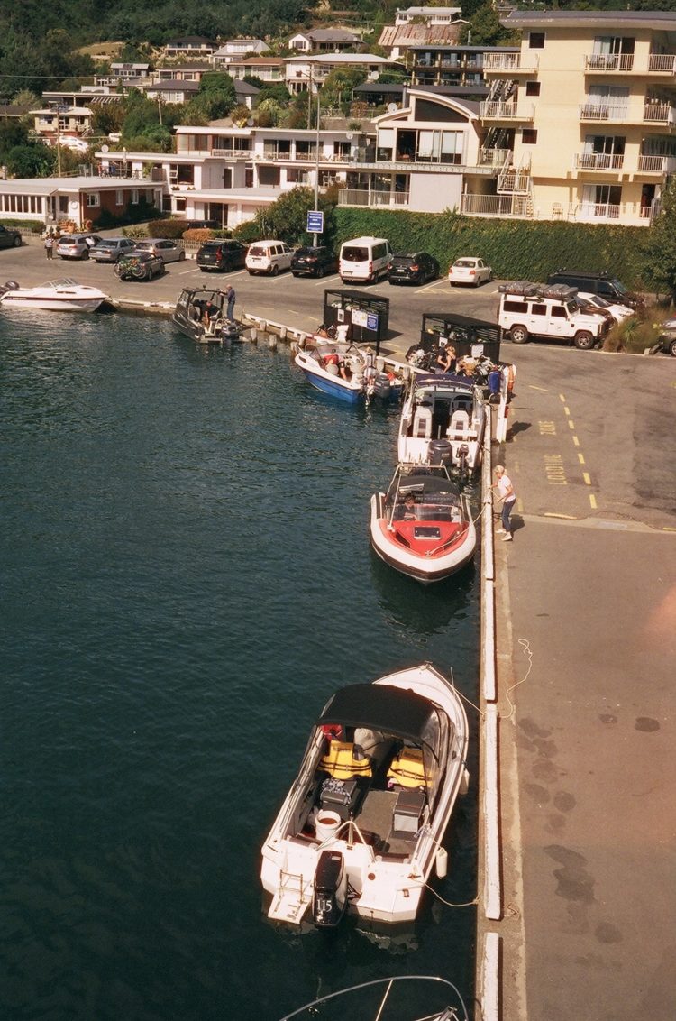 boats in Picton harbour