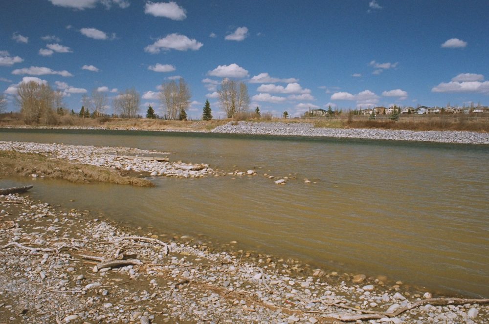 Bow River at Fish Creek Park