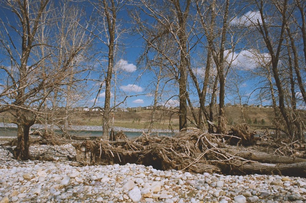 detritus from the Calgary Flood