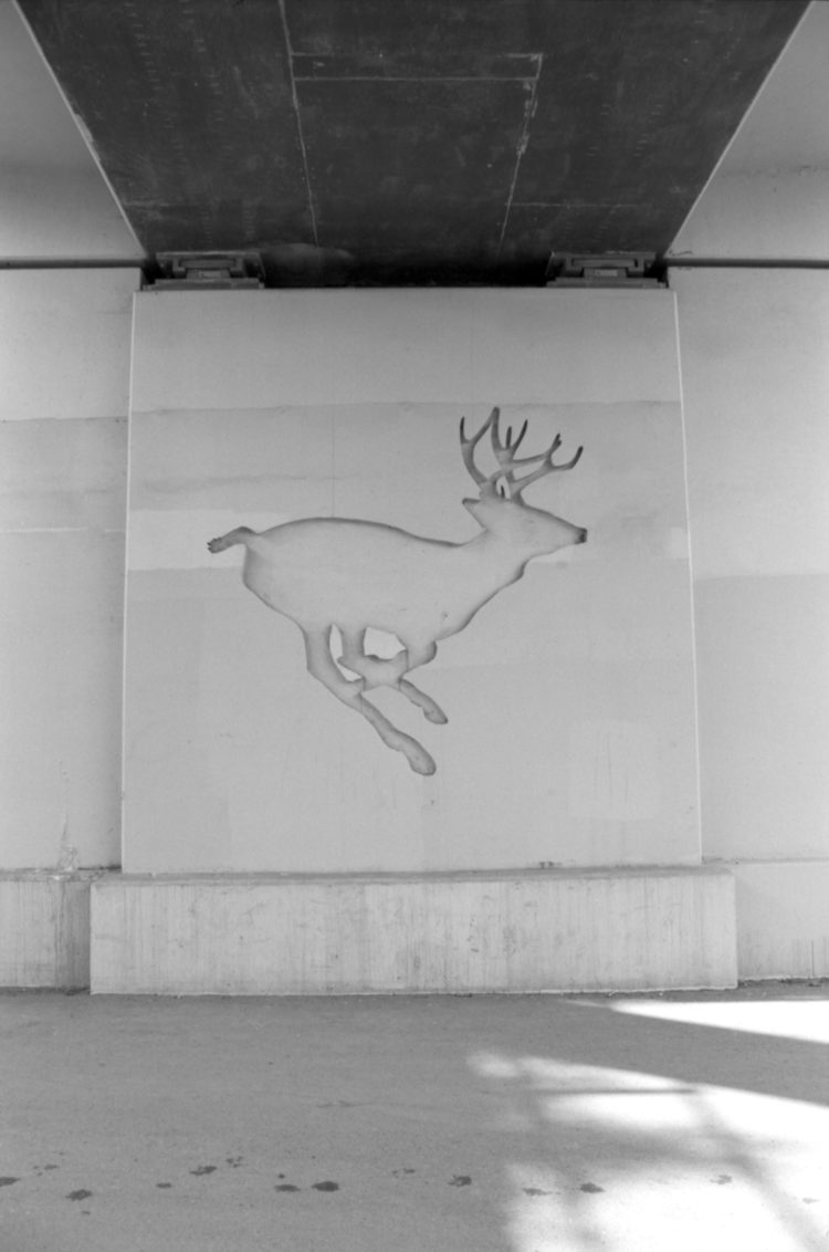 Rudolph the red-nosed reindeer under a bridge