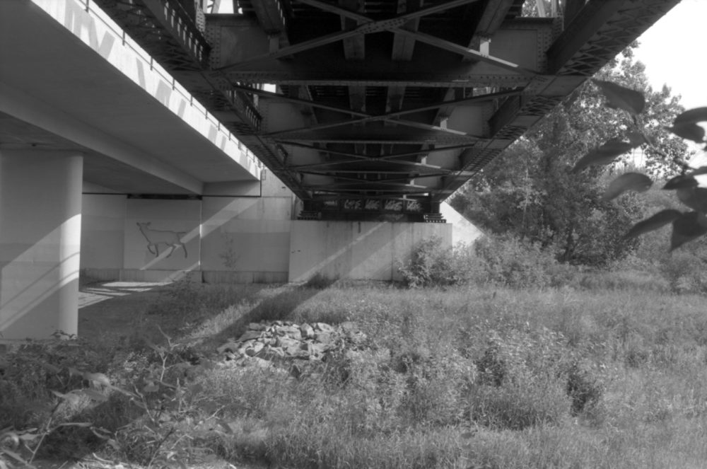 art under the C-Train bridge in Fish Creek Park