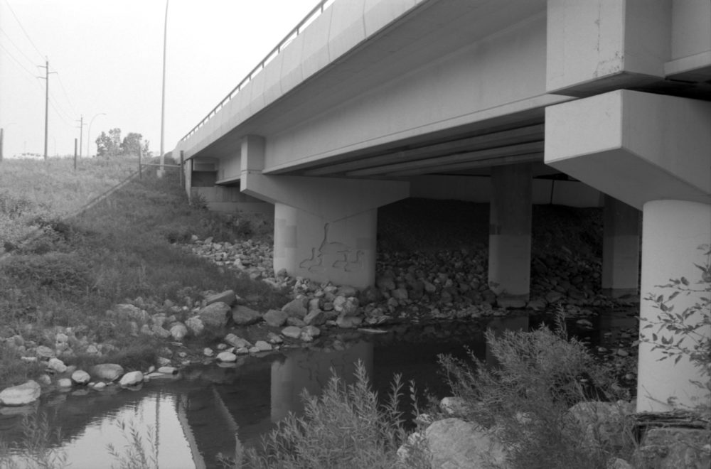 goslings under a bridge